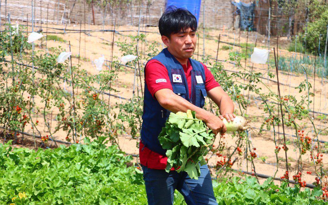 Bonaba : Better World Koica organise une journée portes ouvertes autour de l’agriculture