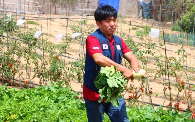 Bonaba : Better World Koica organise une journée portes ouvertes autour de l’agriculture